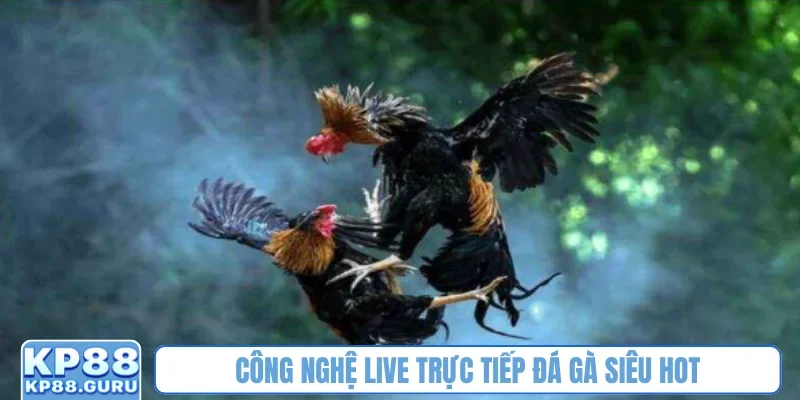 Công nghệ live trực tiếp đá gà siêu hot