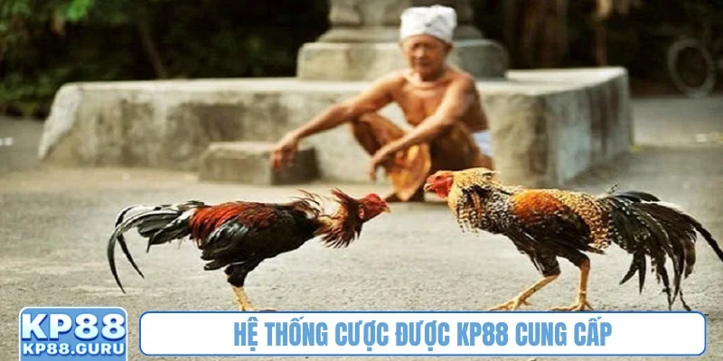 Hệ thống cược được KP88 cung cấp